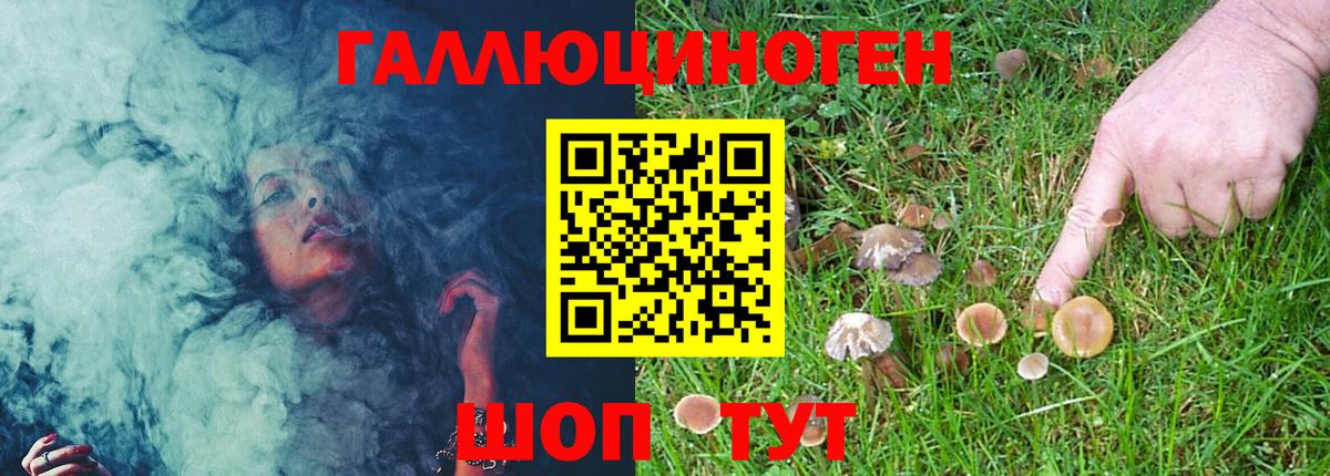 Анапа  Псилоцибиновые грибы MAGIC MUSHROOMS  Псилоцибиновые грибы мухоморы  Вход с VPN 