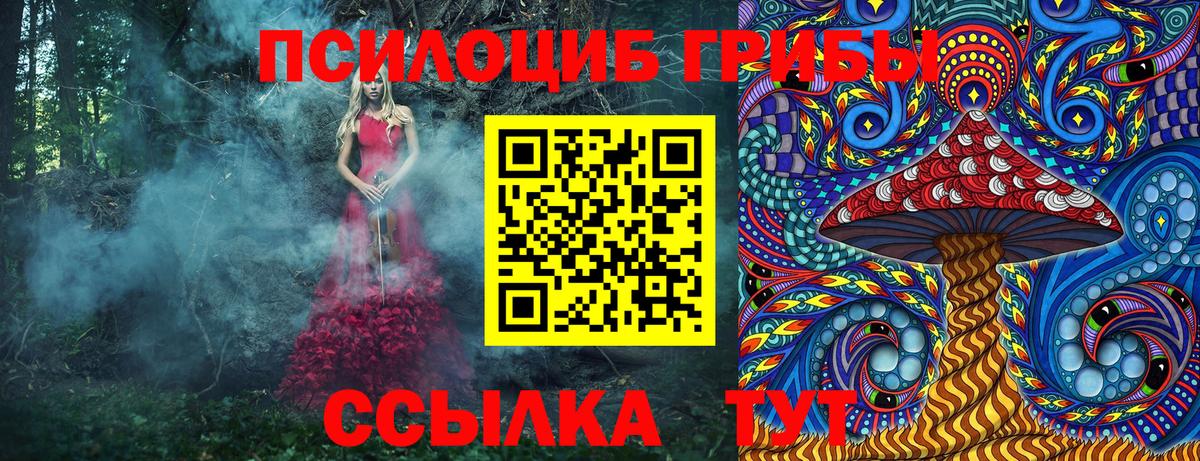 Псилоцибиновые грибы прущие грибы Анапа